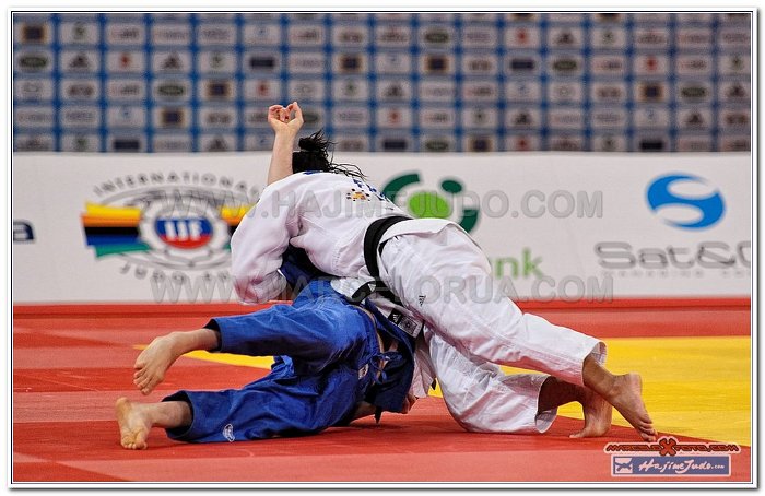 Grand Slam Paris 2013 Judo